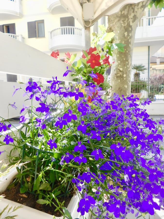 Hotel Dolores 里米尼 外观 照片